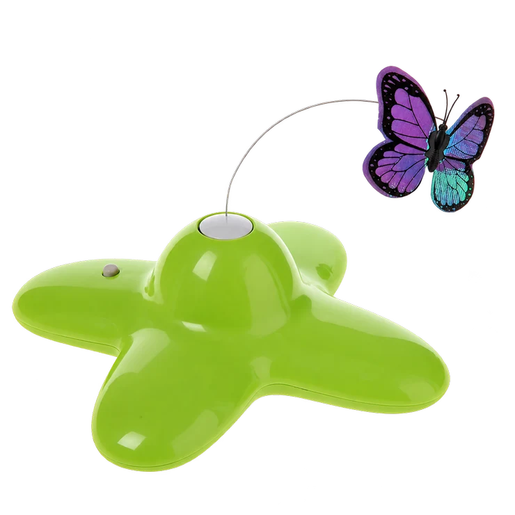 Funny Butterfly